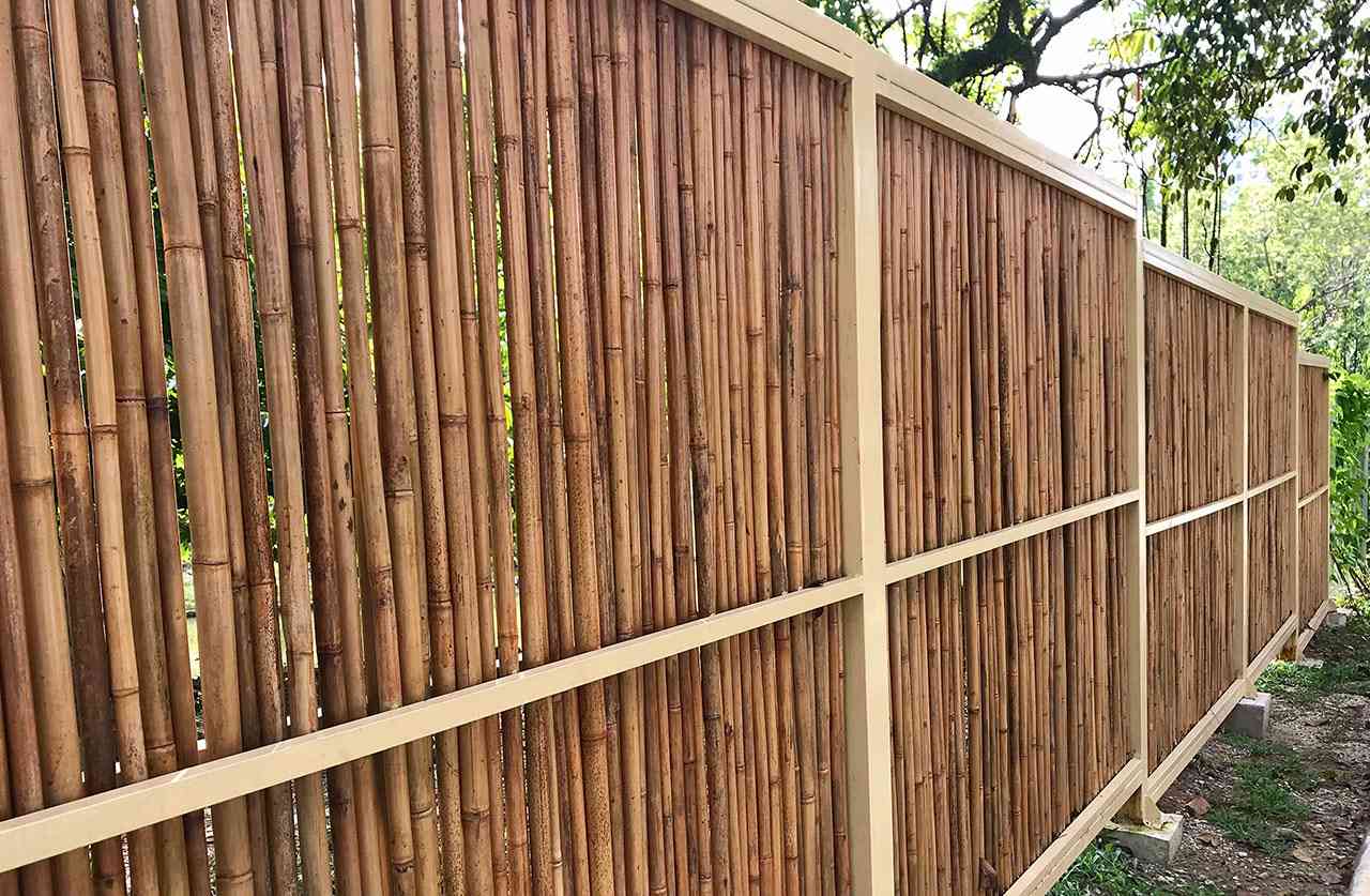 Bambu Kamış Bahçe Çitleri Ekonomik ve Montaja Hazır 