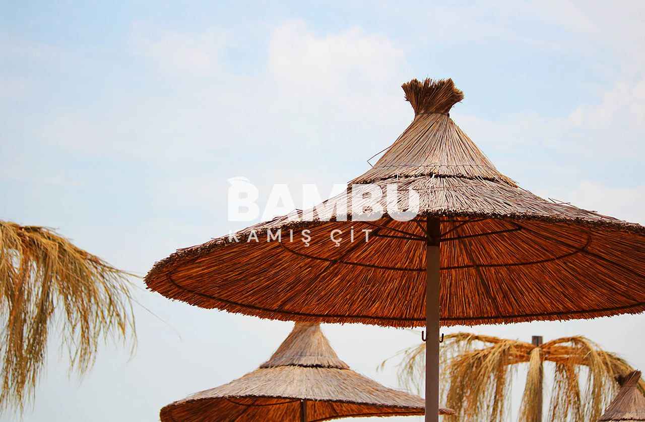 Kamış Şemsiye
