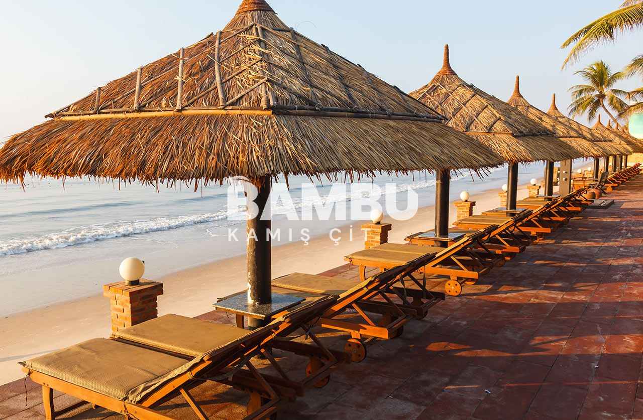 Kamış Şemsiye