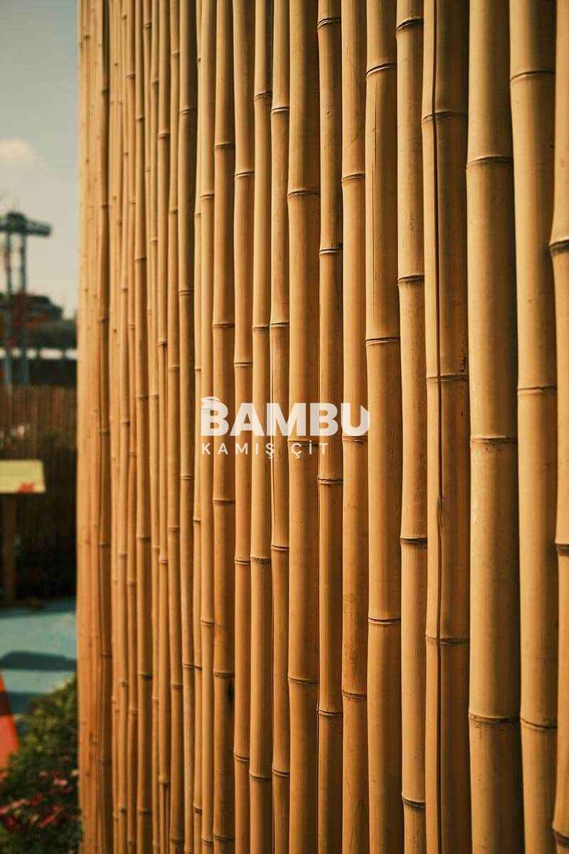 Bambu Gölgelik