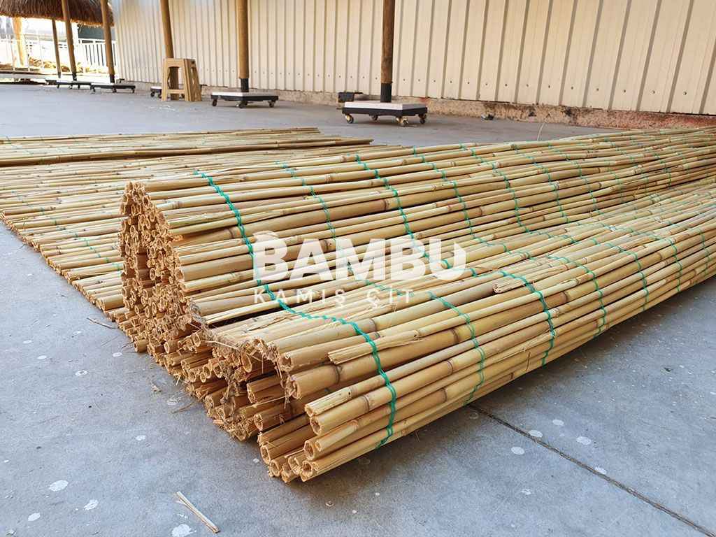 Saz Kamış Rulo
