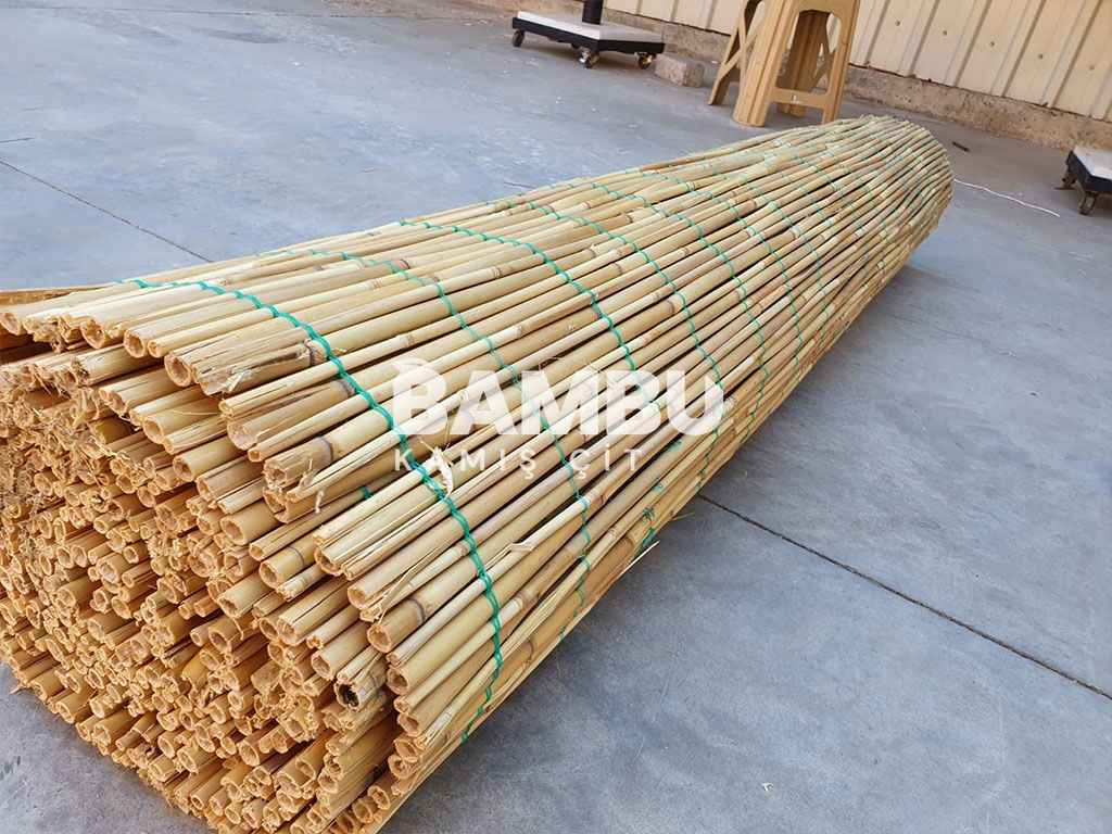 Saz Kamış Rulo