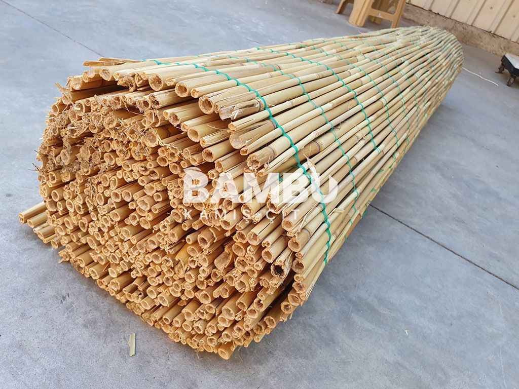 Saz Kamış Rulo