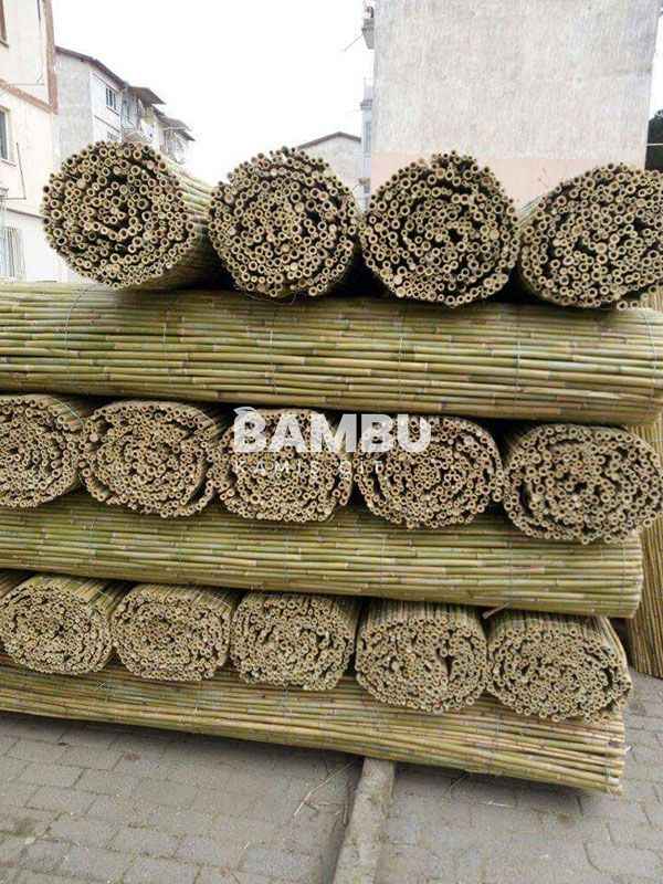 Bambu Çit
