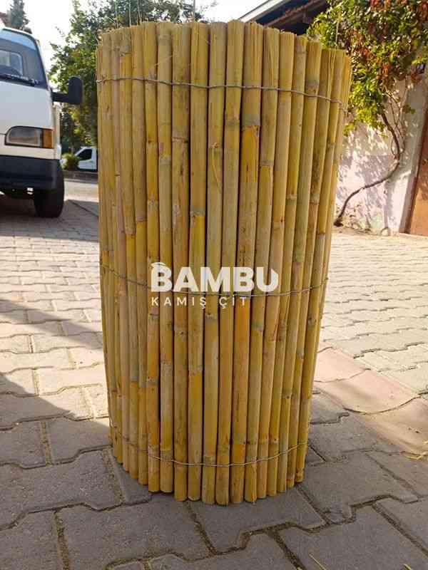 Bambu Çit