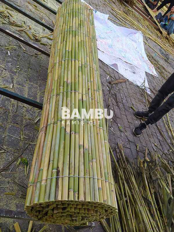 Bambu Çit