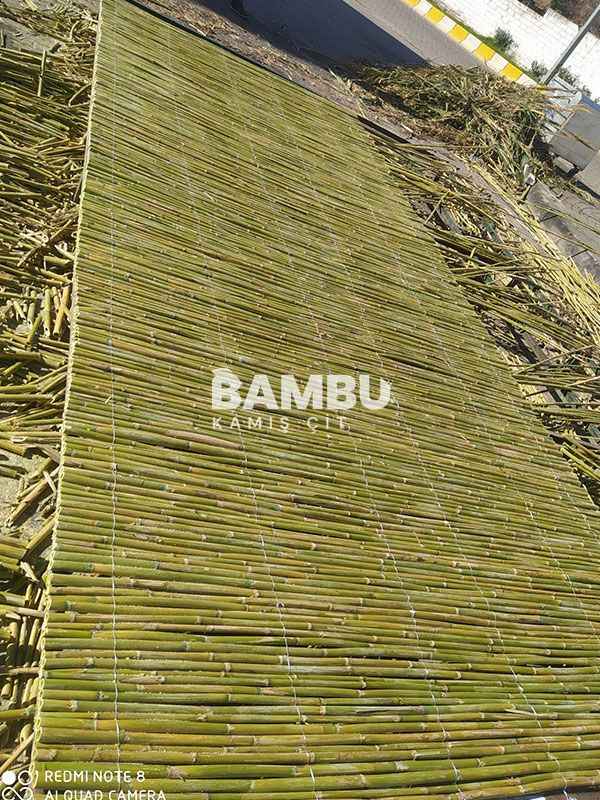 Bambu Çit