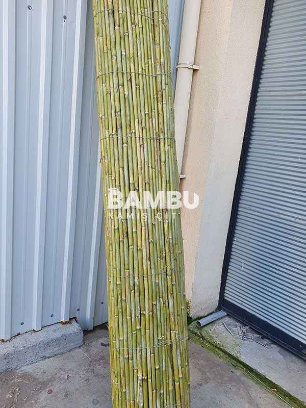 Bambu Çit