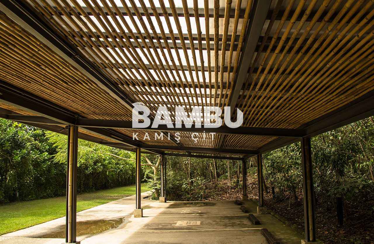 Bambu Kamış
