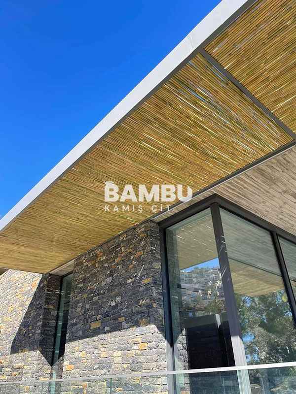 Bambu Kamış