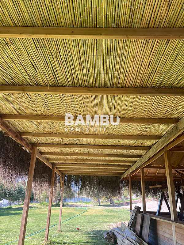 Bambu Kamış