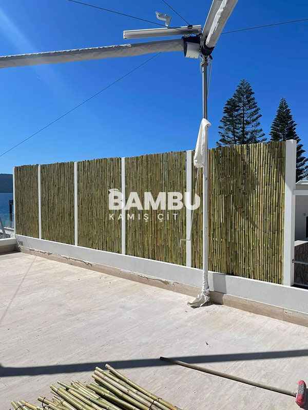 Bambu Kamış