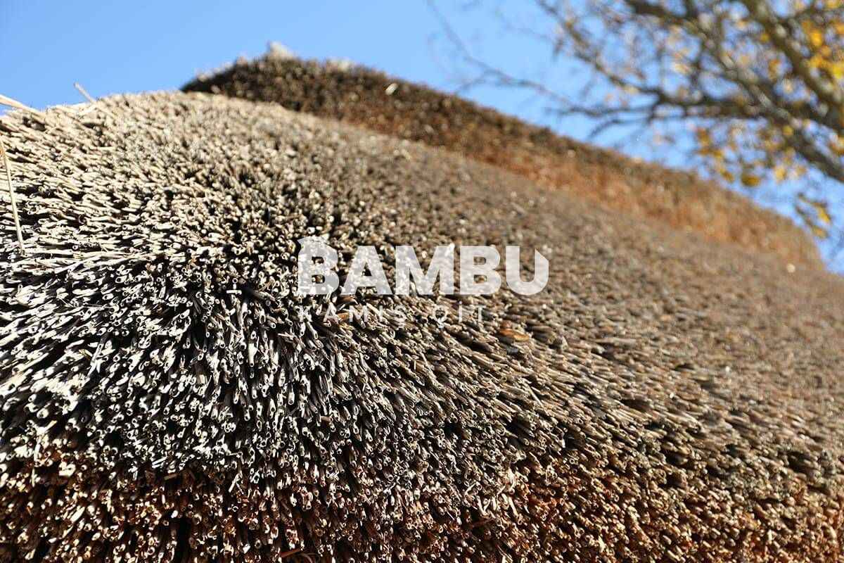 Kamış Çatı Kaplama