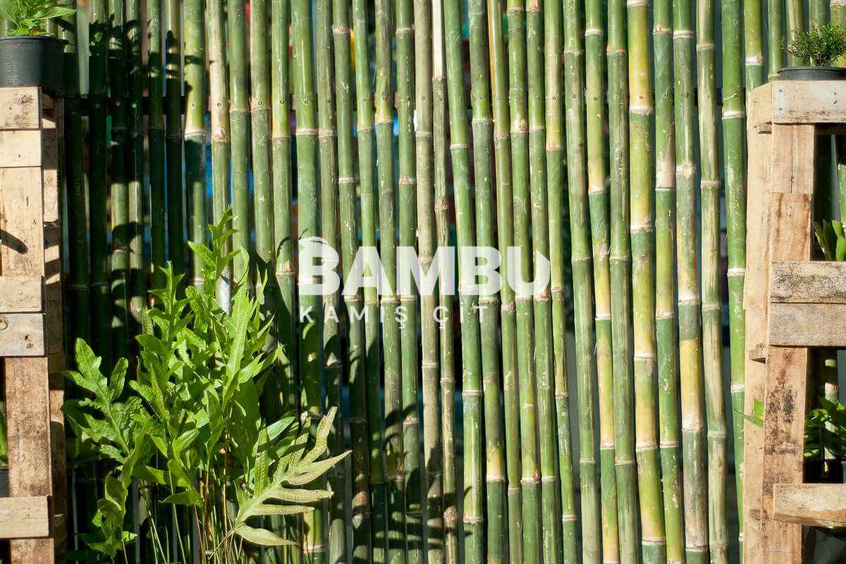 Bahçe Çiti Önerileri